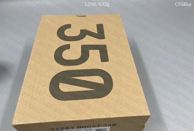 Yeezy 350 V2 10