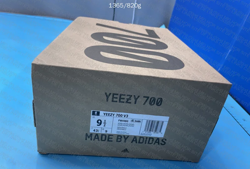 yeezy 700 V3 10