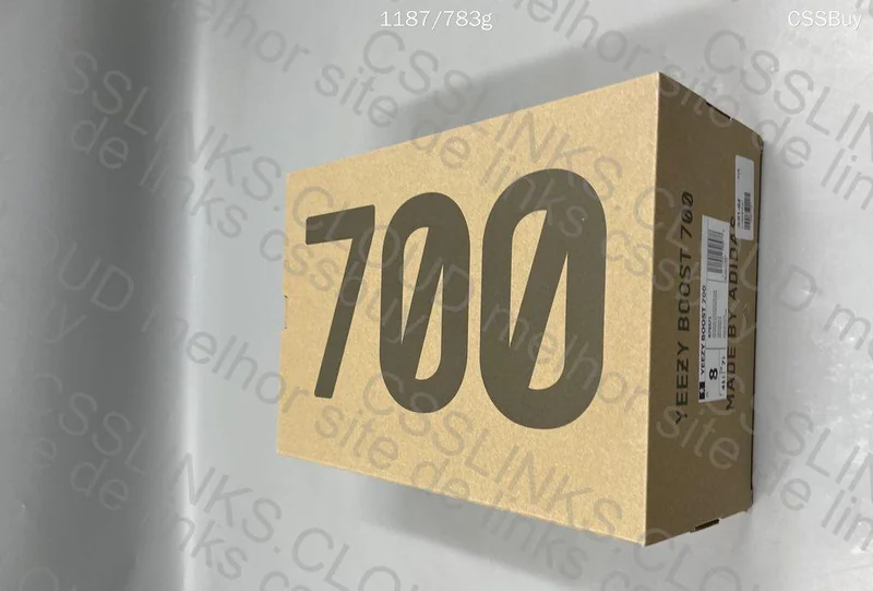 Yeezy 700 Wave runner 5