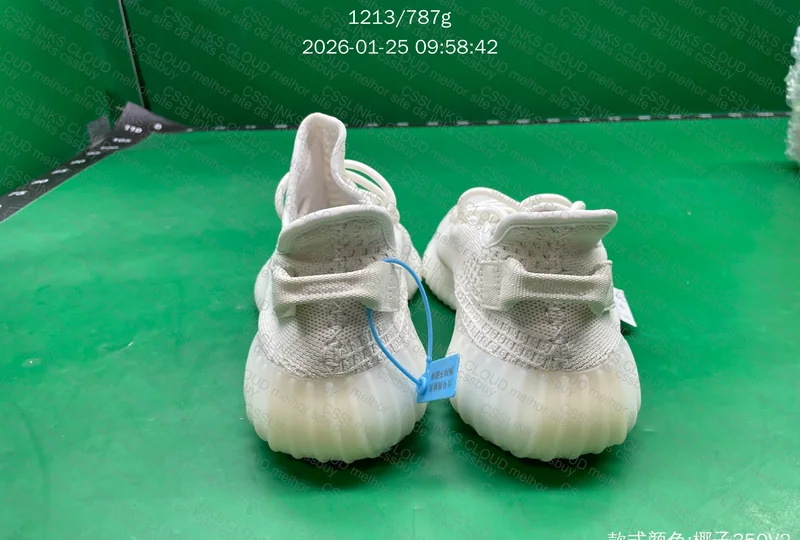 Yeezy Bone JMDY / LW 5