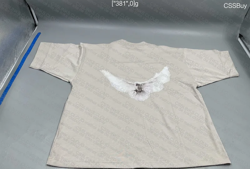 Yeezy Gap Balenciaga Dove 6