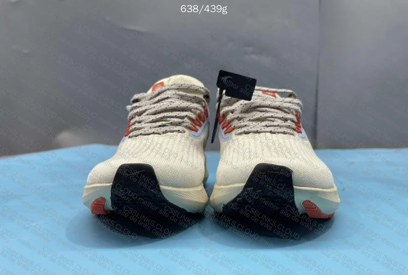 Zoom Pegasus