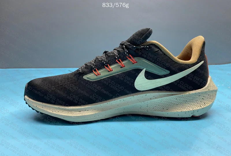 Zoom Pegasus 39