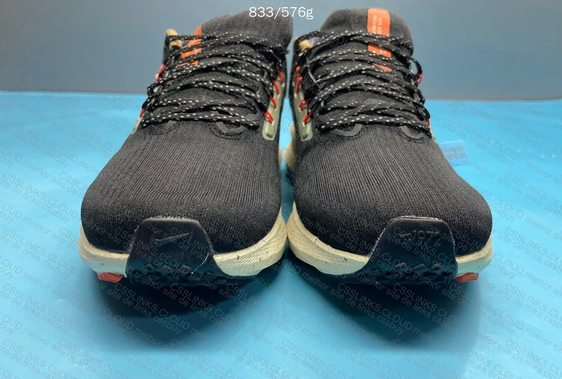 Zoom Pegasus 39 2