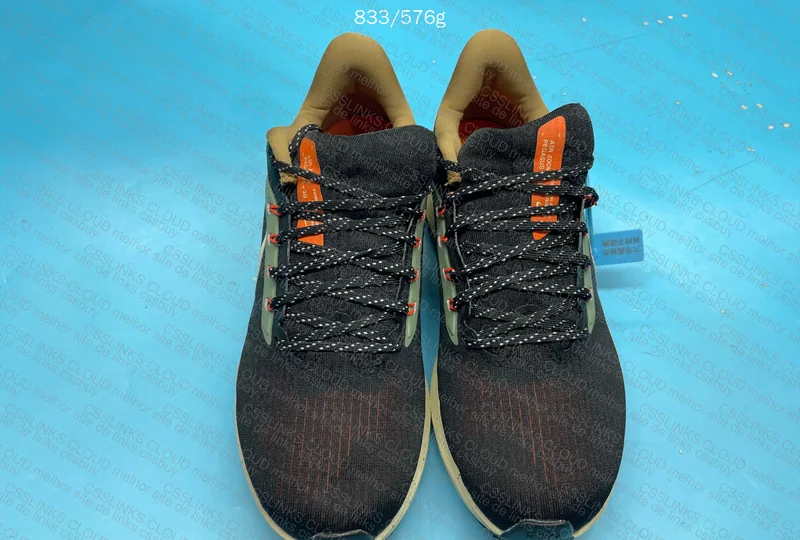 Zoom Pegasus 39 3