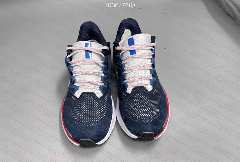 Zoom Pegasus 41